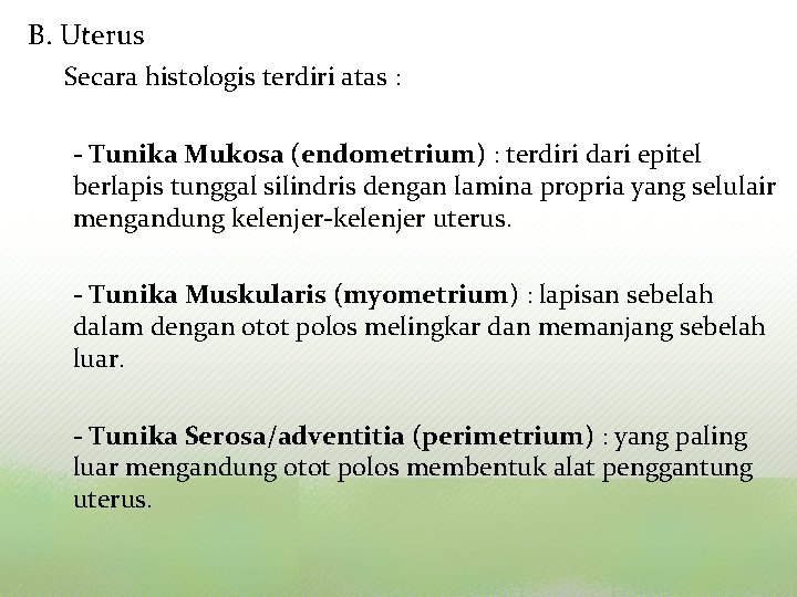 B. Uterus Secara histologis terdiri atas : - Tunika Mukosa (endometrium) : terdiri dari