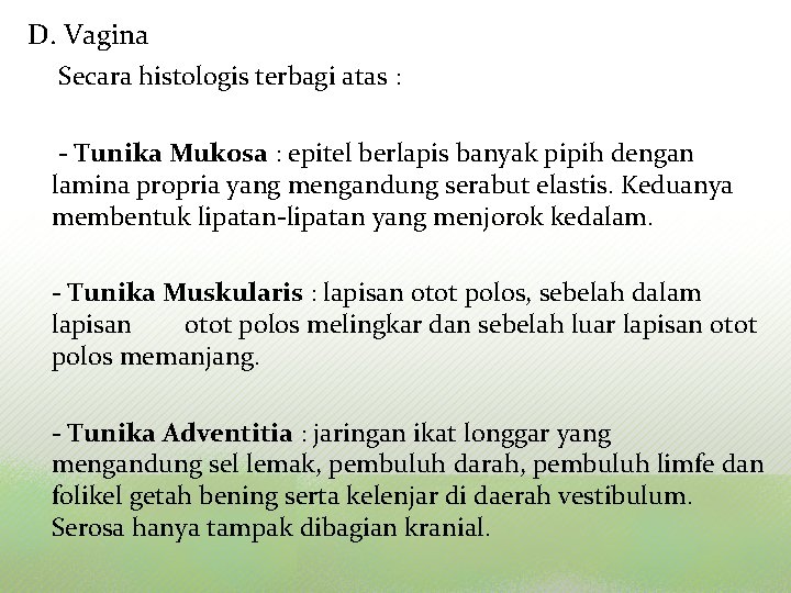 D. Vagina Secara histologis terbagi atas : - Tunika Mukosa : epitel berlapis banyak