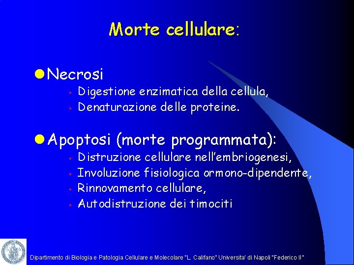 Morte cellulare: l Necrosi • • Digestione enzimatica della cellula, Denaturazione delle proteine. l