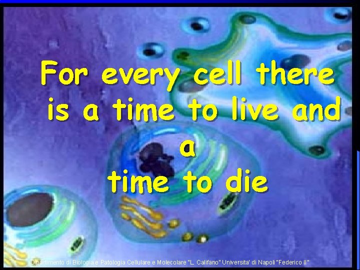 For every cell there is a time to live and a time to die