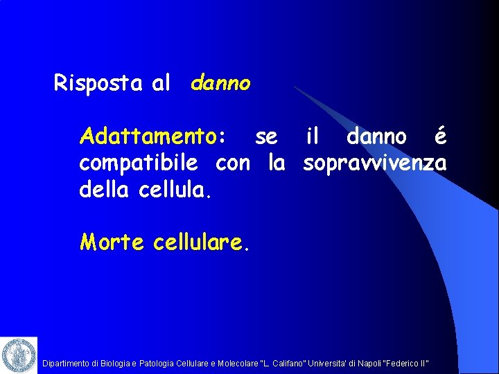 Risposta al danno Adattamento: se il danno é compatibile con la sopravvivenza della cellula.