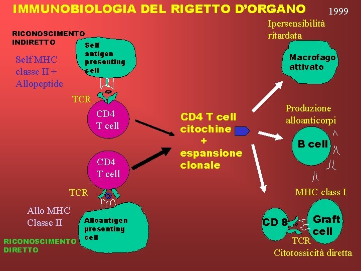 IMMUNOBIOLOGIA DEL RIGETTO D’ORGANO Ipersensibilità ritardata RICONOSCIMENTO INDIRETTO Self antigen presenting cell Self MHC