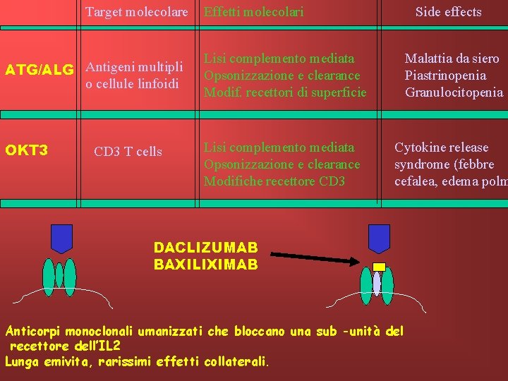 Target molecolare ATG/ALG Antigeni multipli o cellule linfoidi OKT 3 CD 3 T cells