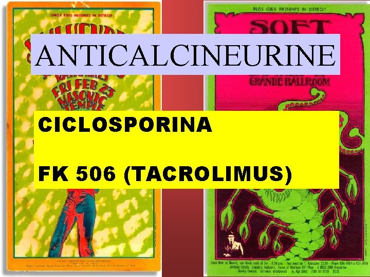 ANTICALCINEURINE CICLOSPORINA FK 506 (TACROLIMUS) 