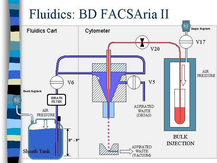 Fluidics: BD FACSAria II R 2 Cytometer Fluidics Cart Sample Regulator V 17 V