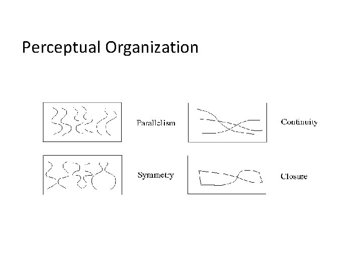 Perceptual Organization 