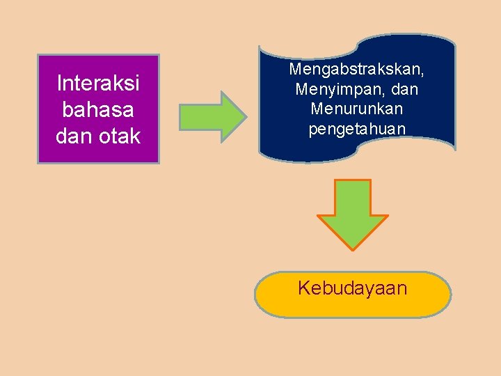  Mengabstrakskan, Menyimpan, dan Menurunkan pengetahuan Interaksi bahasa dan otak Kebudayaan 