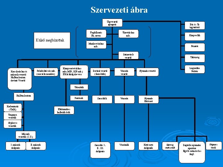 Szervezeti ábra Ügyvezető igazgató Foglalkozás Eü. orvos Külső megbízottak Bér és Tb ügyintéző Tűzvédelmi