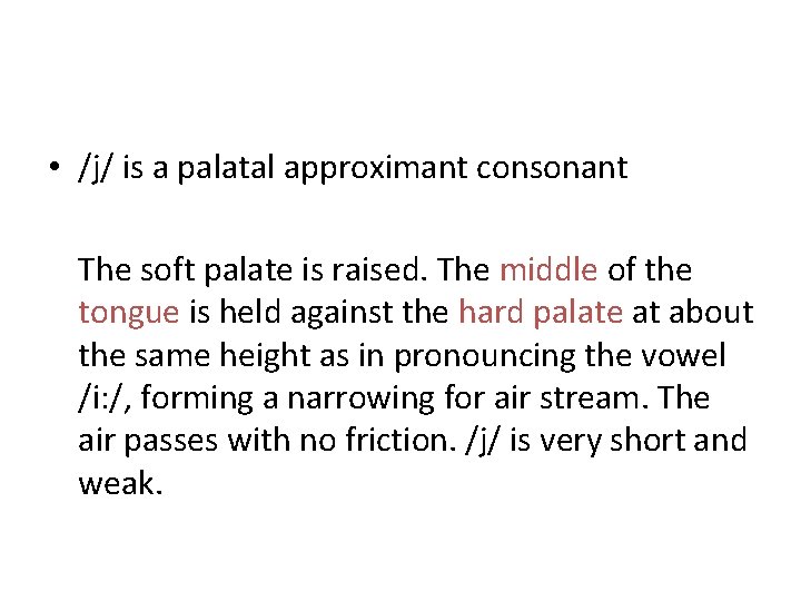  • /j/ is a palatal approximant consonant The soft palate is raised. The