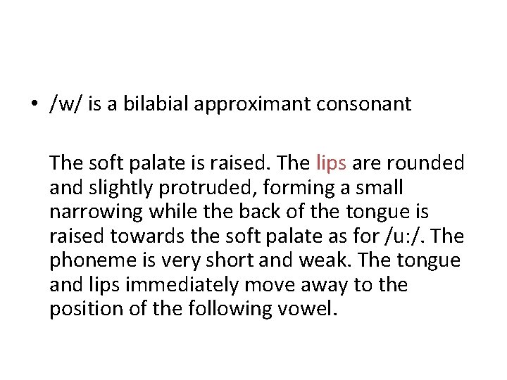  • /w/ is a bilabial approximant consonant The soft palate is raised. The