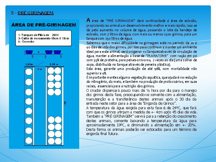 5 - PRÉ GIRINAGEM A área de “PRÉ GIRINAGEM” dará continuidade á área de