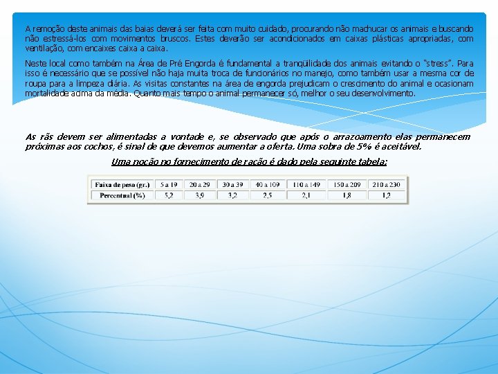 A remoção deste animais das baias deverá ser feita com muito cuidado, procurando não