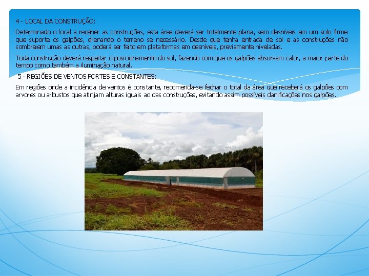 4 - LOCAL DA CONSTRUÇÃO: Determinado o local a receber as construções, esta área