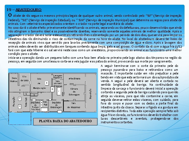 19 – ABATEDOURO O abate de rãs segue os mesmos princípios legais de qualquer