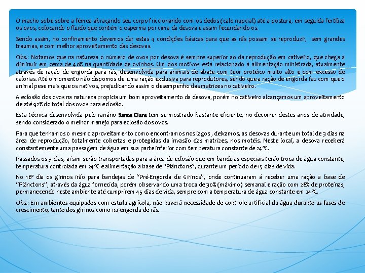 O macho sobe sobre a fêmea abraçando seu corpo friccionando com os dedos (calo