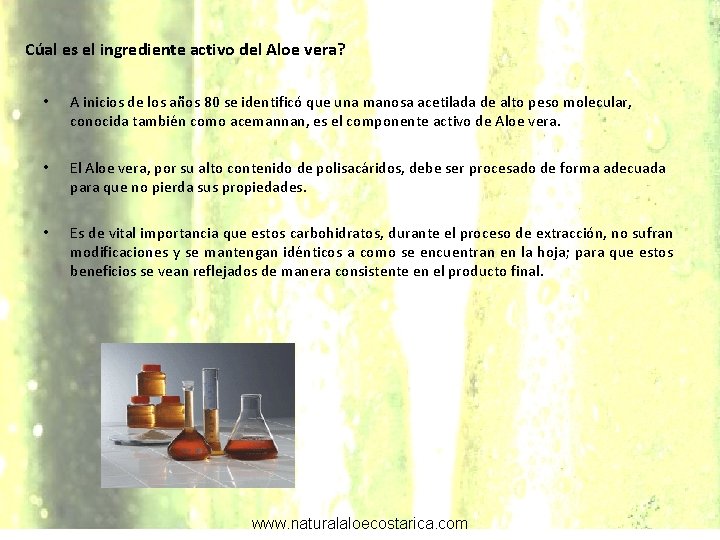 Cúal es el ingrediente activo del Aloe vera? • A inicios de los años