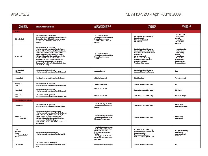 ANALYSIS FINANCIAL INSTITUTION NEWHORIZON April–June 2009 GEOGRAPHICPRESENCE COMPANYSTRUCTURE/ FUNDINGSOURCE PRODUCTS OFFERED STRUCTURES USED University.