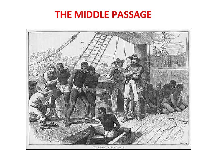 THE MIDDLE PASSAGE 