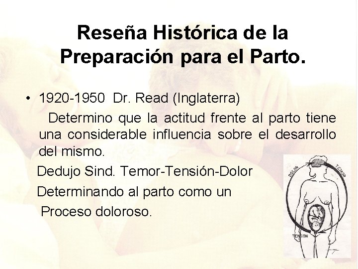 Reseña Histórica de la Preparación para el Parto. • 1920 -1950 Dr. Read (Inglaterra)