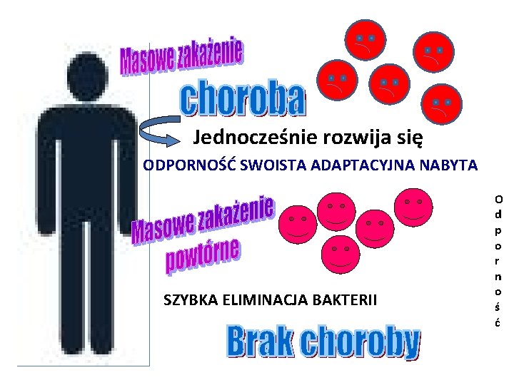 Jednocześnie rozwija się ODPORNOŚĆ SWOISTA ADAPTACYJNA NABYTA SZYBKA ELIMINACJA BAKTERII O d p o