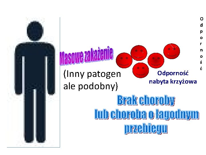 (Inny patogen ale podobny) Odporność nabyta krzyżowa O d p o r n o