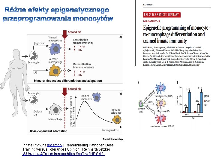 Innate Immune #Memory | Remembering Pathogen Dose: Training versus Tolerance | Opinion | Reinhard.