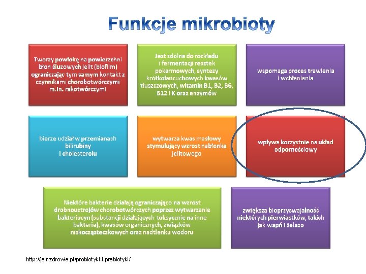 http: //jemzdrowie. pl/probiotyki-i-prebiotyki/ 