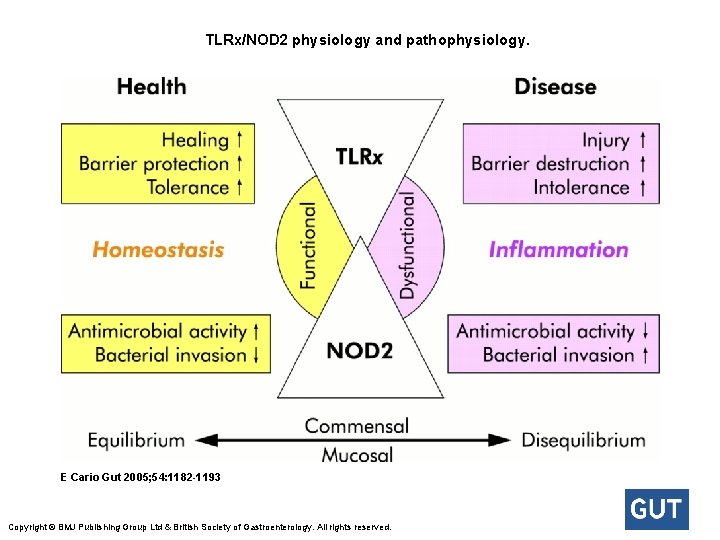  TLRx/NOD 2 physiology and pathophysiology. E Cario Gut 2005; 54: 1182 -1193 Copyright ©