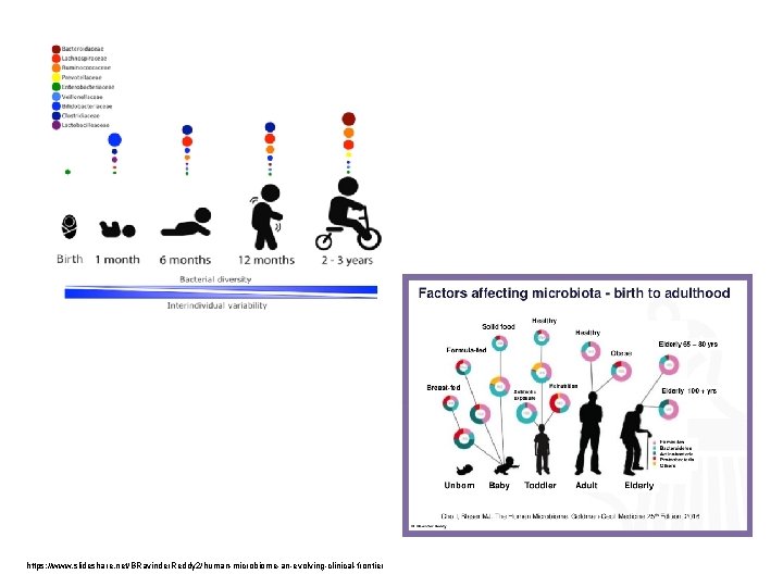 https: //www. slideshare. net/BRavinder. Reddy 2/human-microbiome-an-evolving-clinical-frontier 