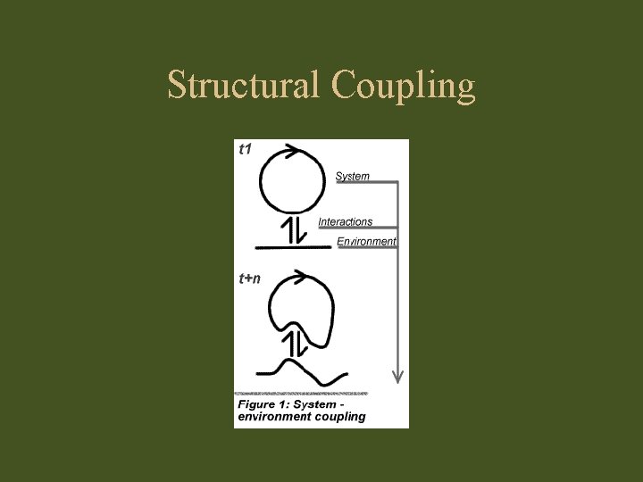 Structural Coupling 