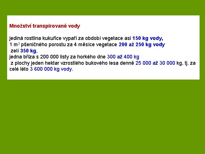 Množství transpirované vody jediná rostlina kukuřice vypaří za období vegetace asi 150 kg vody,