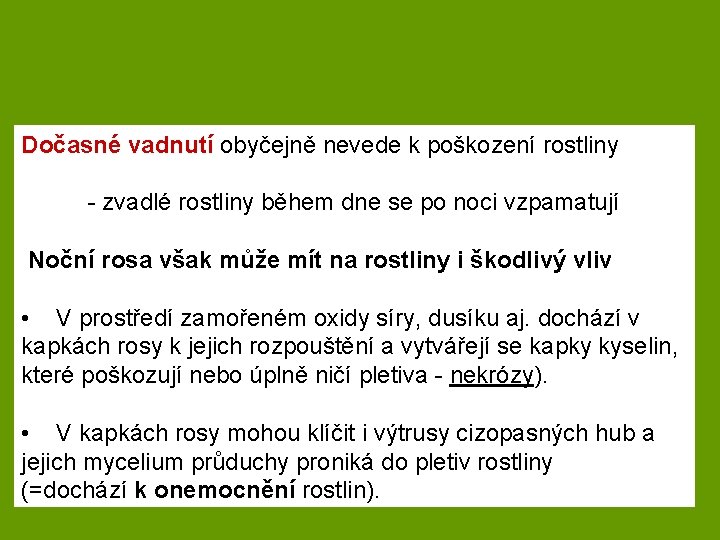 Dočasné vadnutí obyčejně nevede k poškození rostliny - zvadlé rostliny během dne se po