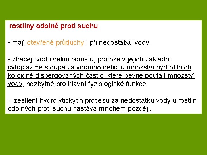 rostliny odolné proti suchu - mají otevřené průduchy i při nedostatku vody. - ztrácejí