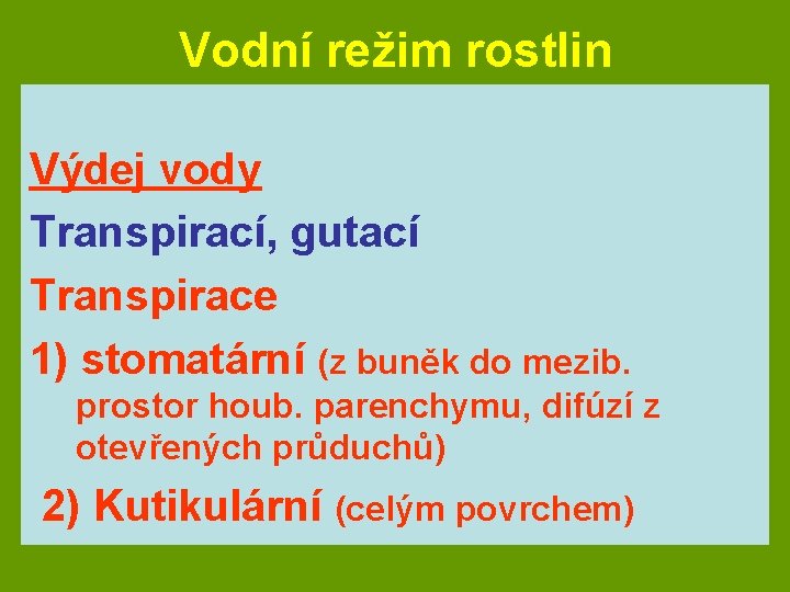 Vodní režim rostlin Výdej vody Transpirací, gutací Transpirace 1) stomatární (z buněk do mezib.
