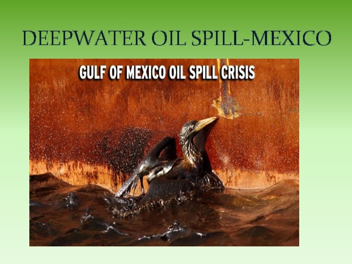 DEEPWATER OIL SPILL-MEXICO 