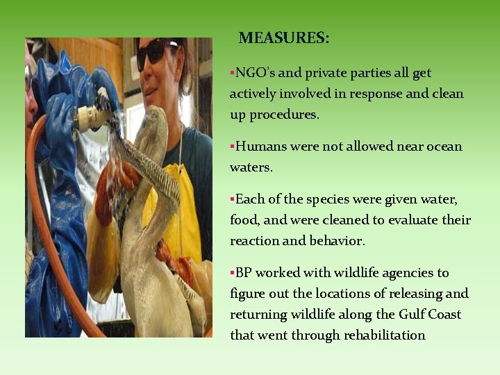 MEASURES: §NGO’s and private parties all get actively involved in response and clean up