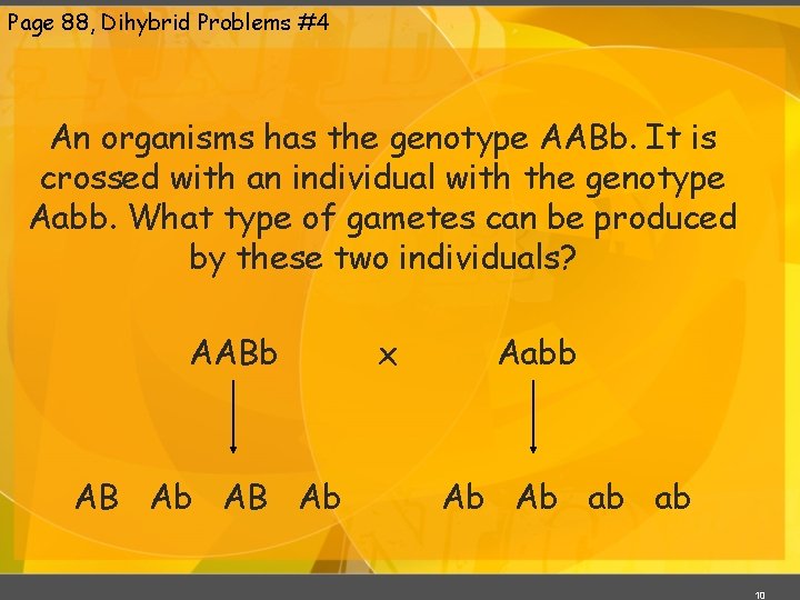 Page 88, Dihybrid Problems #4 An organisms has the genotype AABb. It is crossed