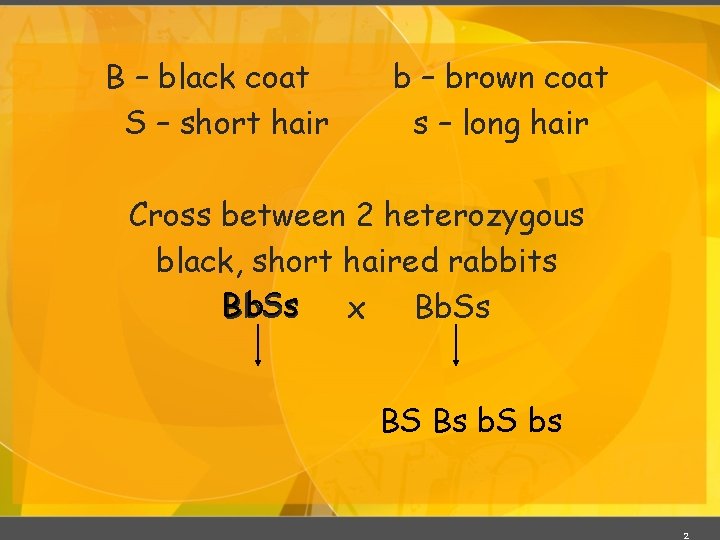 B – black coat S – short hair b – brown coat s –