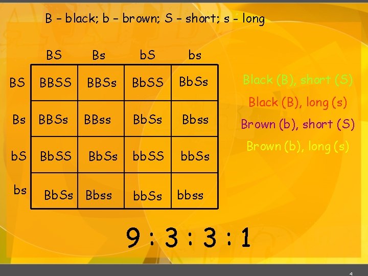 B – black; b – brown; S – short; s - long BS BS