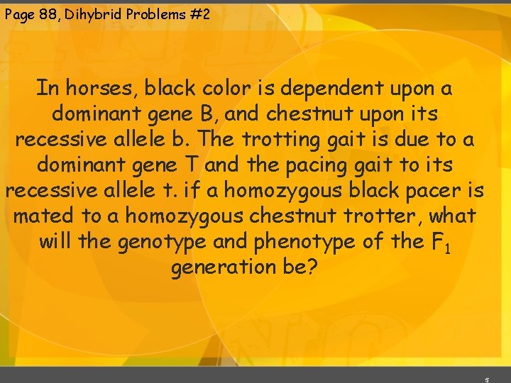 Page 88, Dihybrid Problems #2 In horses, black color is dependent upon a dominant