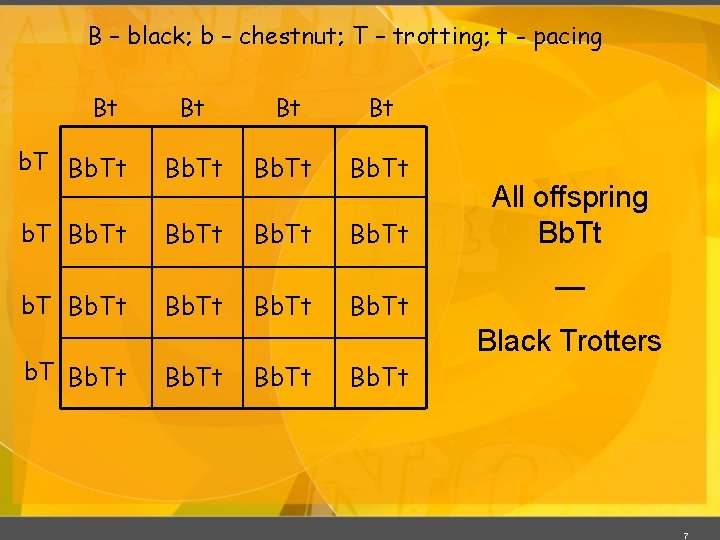 B – black; b – chestnut; T – trotting; t - pacing Bt Bt