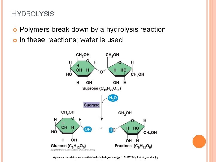 HYDROLYSIS Polymers break down by a hydrolysis reaction In these reactions; water is used