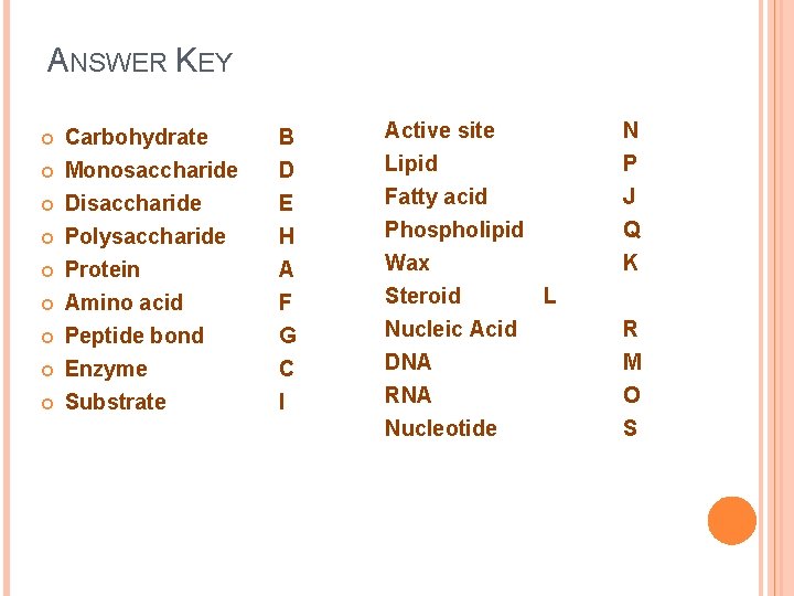ANSWER KEY Carbohydrate Monosaccharide B D Active site Lipid N P E H A