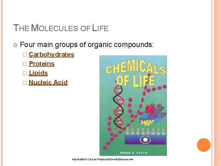 THE MOLECULES OF LIFE Four main groups of organic compounds: � Carbohydrates � Proteins