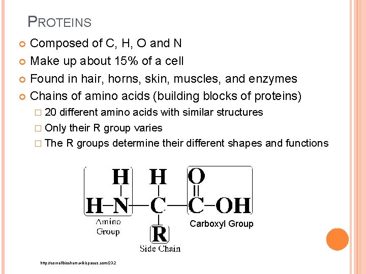 PROTEINS Composed of C, H, O and N Make up about 15% of a