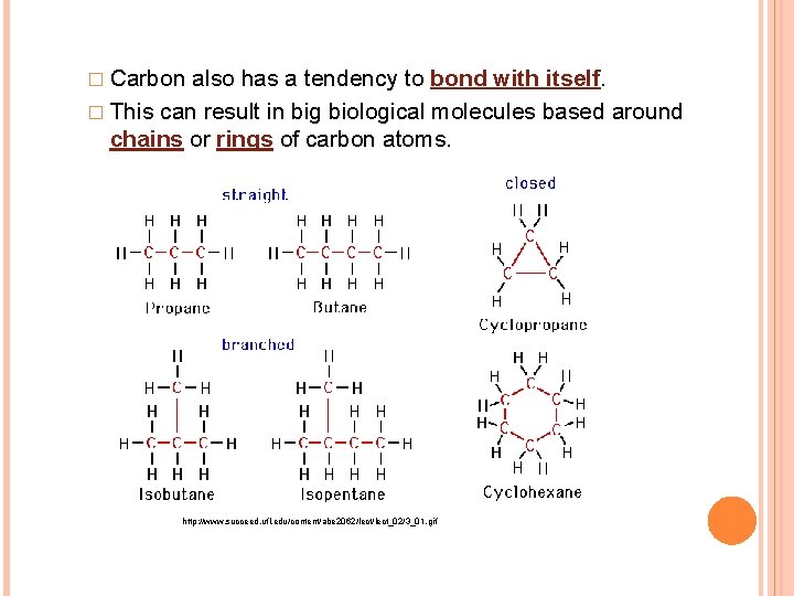 � Carbon also has a tendency to bond with itself. � This can result