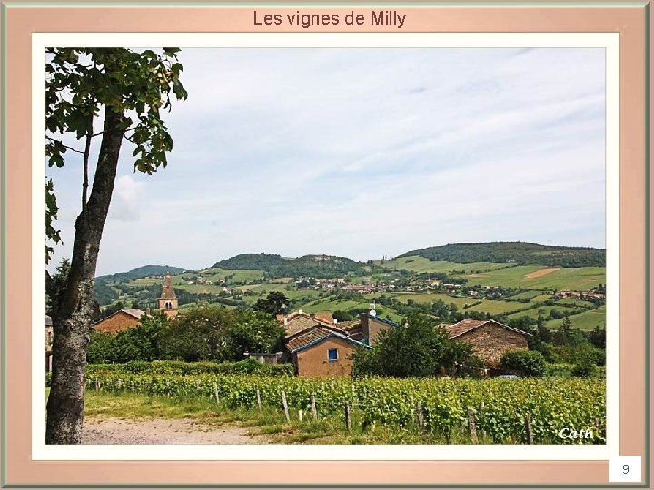 Les vignes de Milly Le petit hameau de Milly 9 