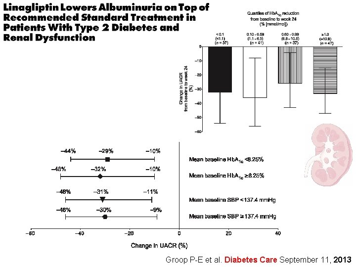 Groop P-E et al. Diabetes Care September 11, 2013 