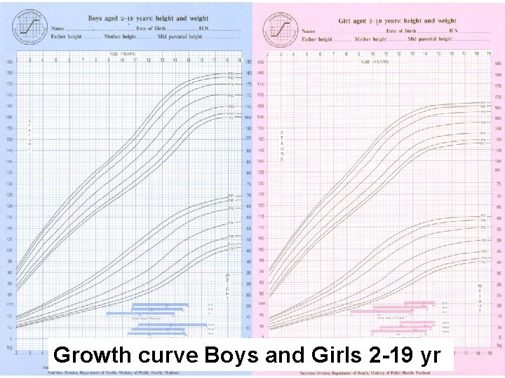 Growth curve Boys and Girls 2 -19 yr 