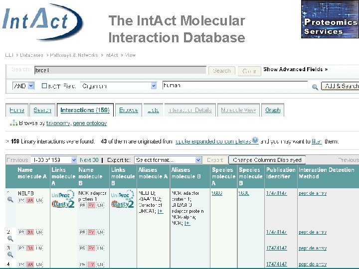 The Int. Act Molecular Interaction Database 